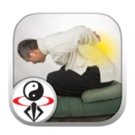 Logo of Qigong for Back Pain Relief android Application 